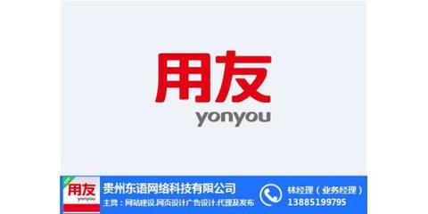 貴州東語 圖 、貴陽中小型企業(yè)財務(wù)軟件、財務(wù)軟件